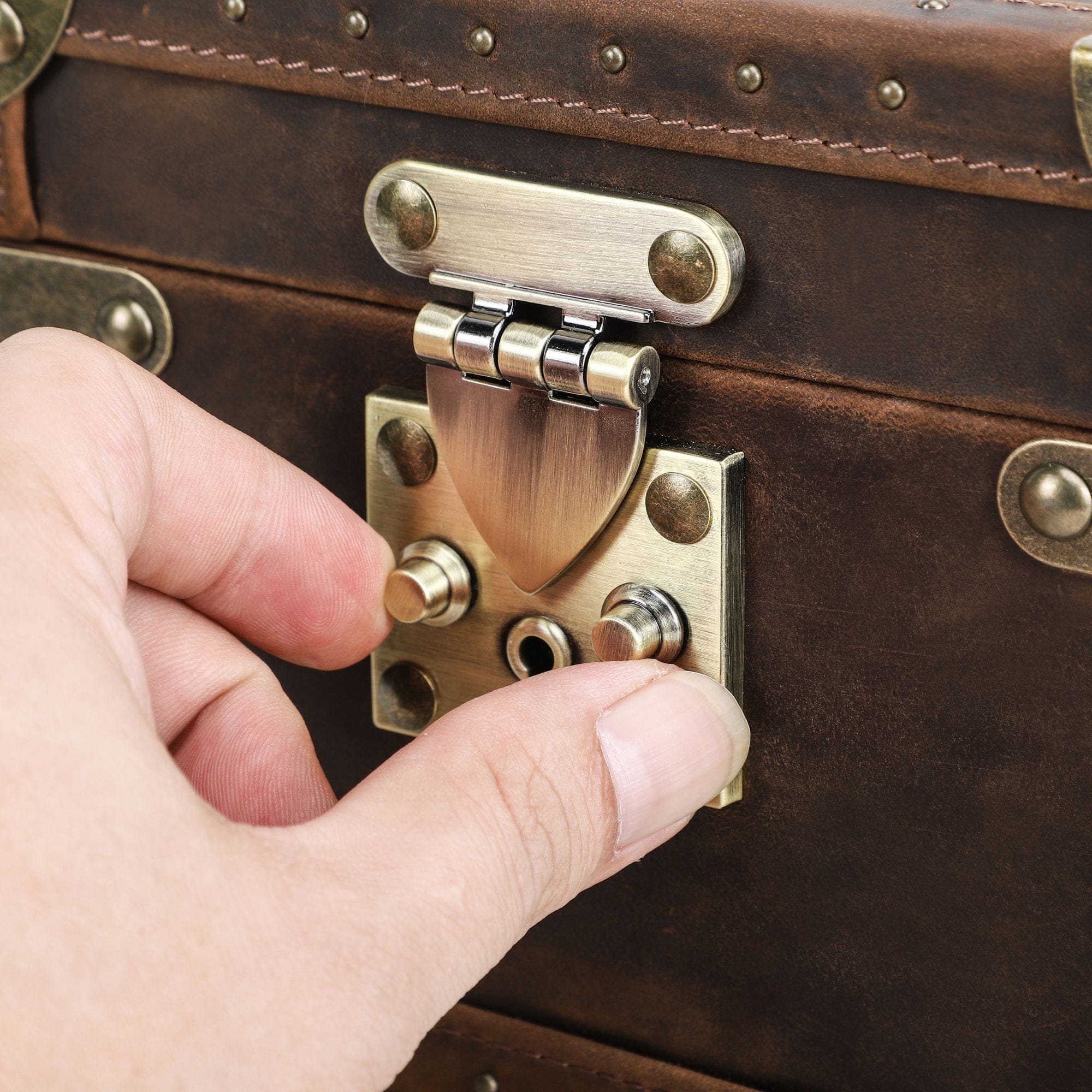 2-Slot Watch Collector's Chect